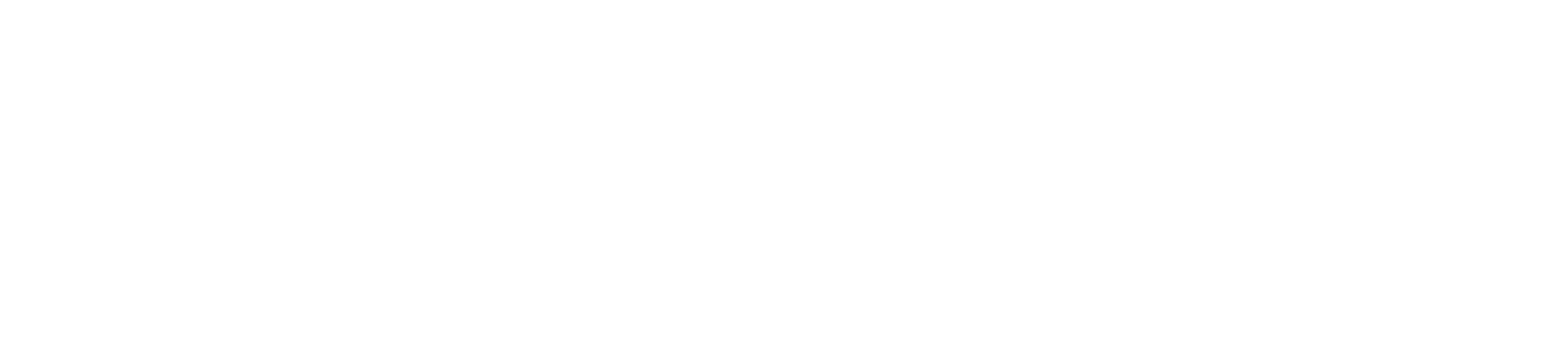 guardadigital